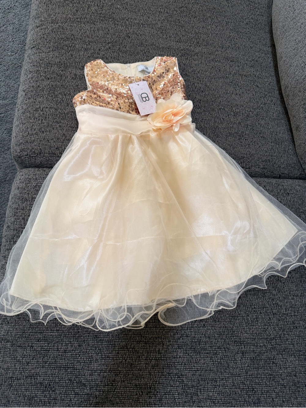Sequin Bodice Tulle Party Dress with Floral Accent — Champagne - Picture 1 of 7